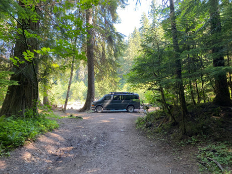 A dark camper van (RV rental) is parked on a dirt road in a sunny forest, ready for outdoor adventure.