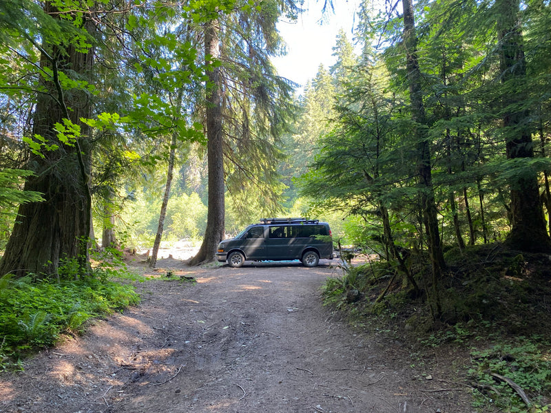 A dark camper van (RV rental) is parked on a dirt road in a sunny forest, ready for outdoor adventure. — photo 18
