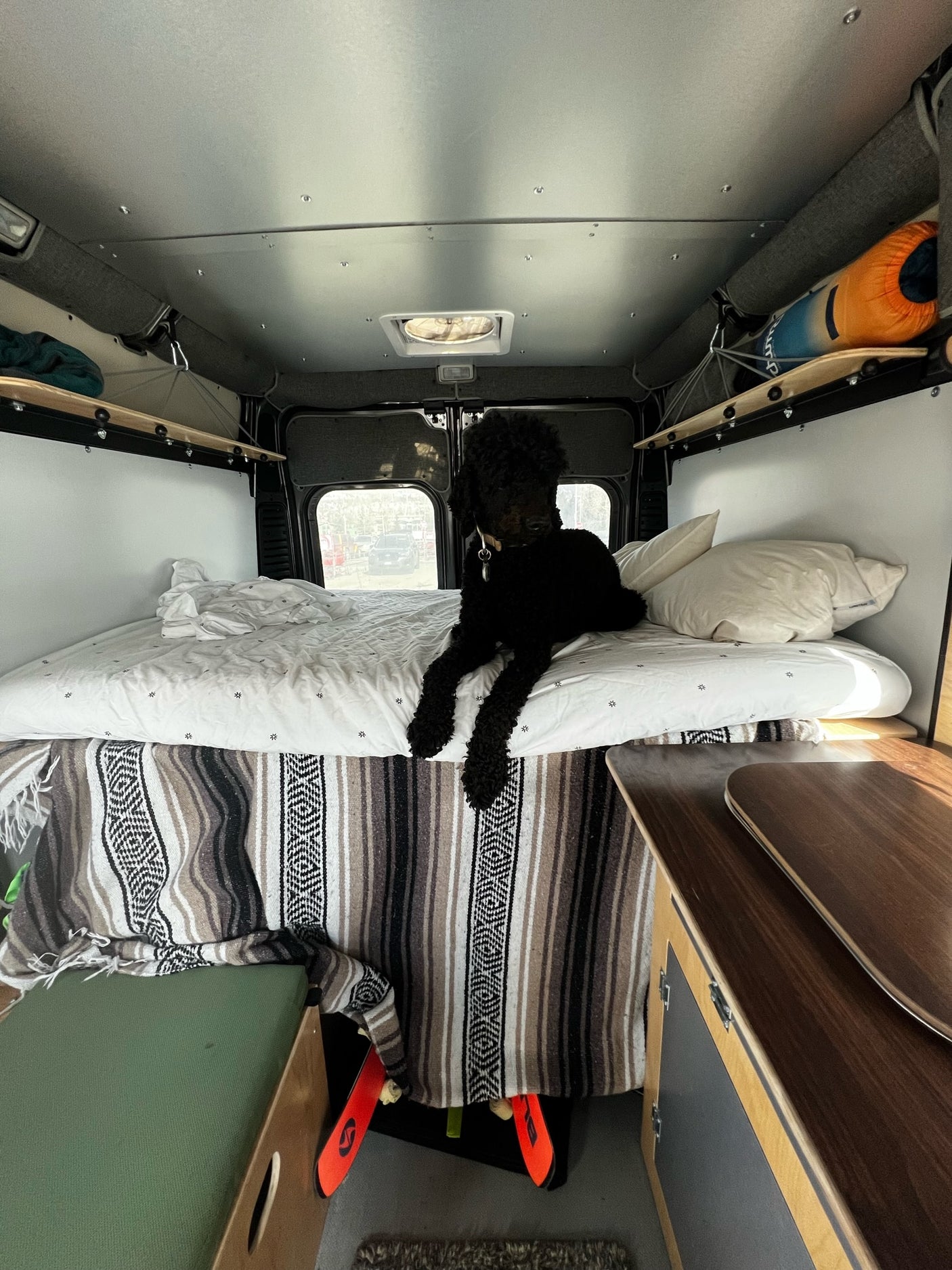 Pet-friendly RV rental interior: A black dog relaxes on a cozy bed with a striped blanket, showing built-in storage.