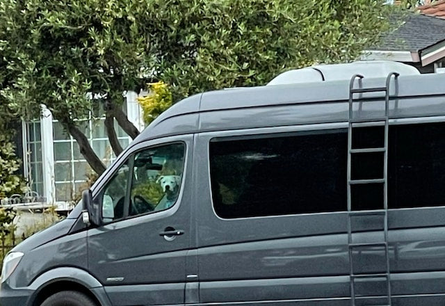  equipped with a roof ladder.|RV rental: Interior view of a grey converted camper van through its open side door