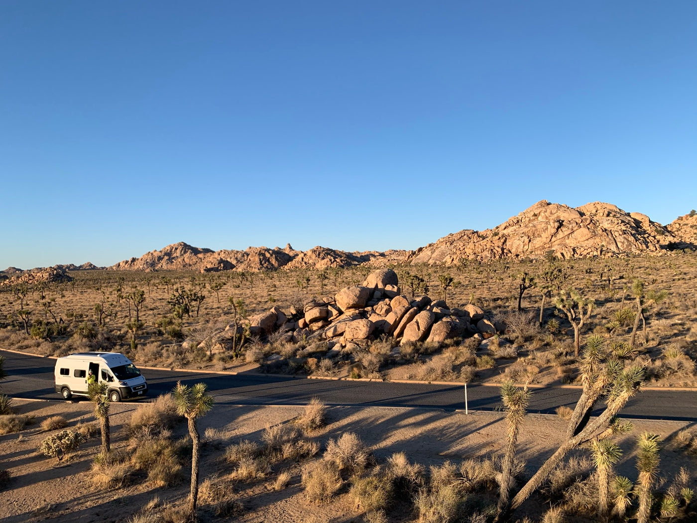  as a person climbs one.|White rv rental on a road in Joshua Tree National Park. Desert landscape with unique flora and rock formations.|A RAM **RV rental** camper van with its pop-top open is bathed in bright moonlight under a clear night sky with stars.|White RV rental camper van with pop-top extended — photo 4