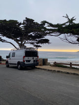 White RV rental parked beachfront under a large tree, overlooking ocean waves, with surfers and a golden horizon.
