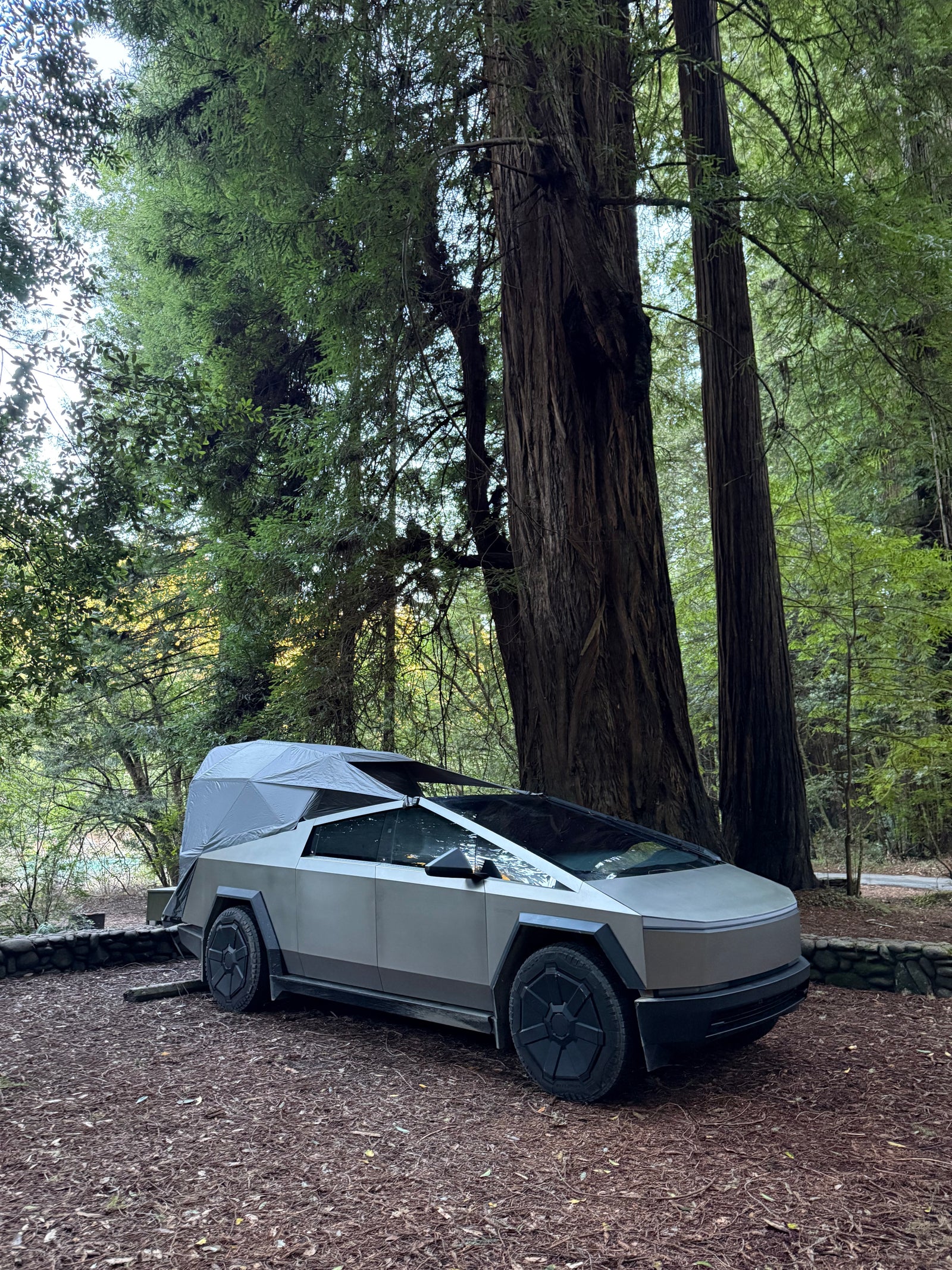 Tesla Cybertruck with a camping tent setup, ideal for an RV rental adventure among towering redwood trees.