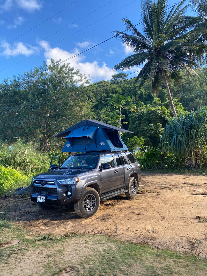 Experience nature with this RV rental: A gray SUV with a rooftop tent on a dirt path, surrounded by vibrant tropical plants. — photo 17