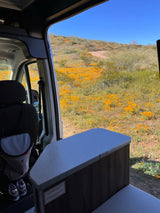 Inside an RV rental, a vibrant desert super bloom with orange poppies fills the view from the open door.