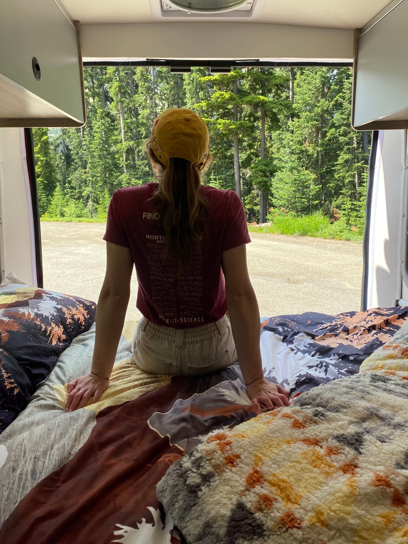  and lush forests under a clear sky.|RV rental camper van interior: rear storage with folded bed — photo 3