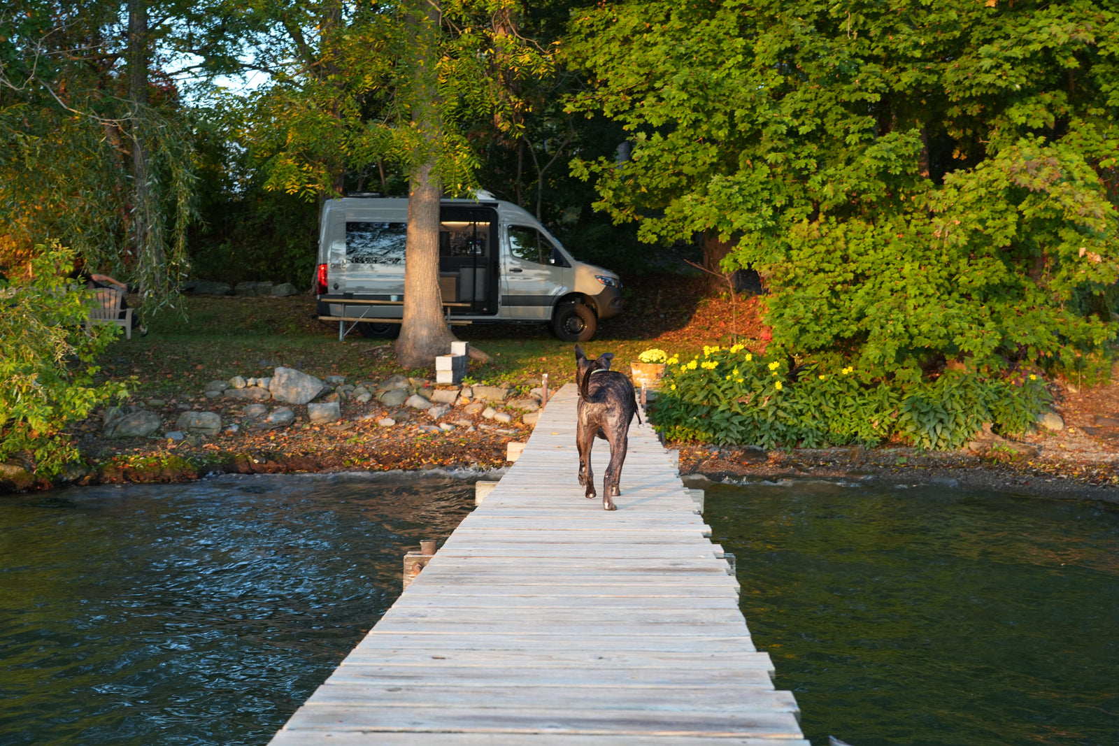 A dog walks on a dock towards a grey RV rental camper van parked by lush green trees and water, its side door open.