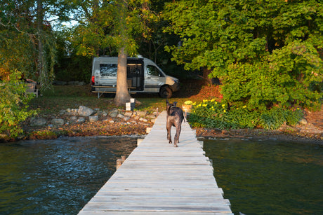 A dog walks on a dock towards a grey RV rental camper van parked by lush green trees and water, its side door open.