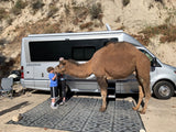 A camel and child by an Airstream Class B RV rental at a campsite. Unique outdoor experience.
