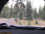 Serene view from an RV rental through a screen, revealing a forest, paved campground road, and green campsite grass.