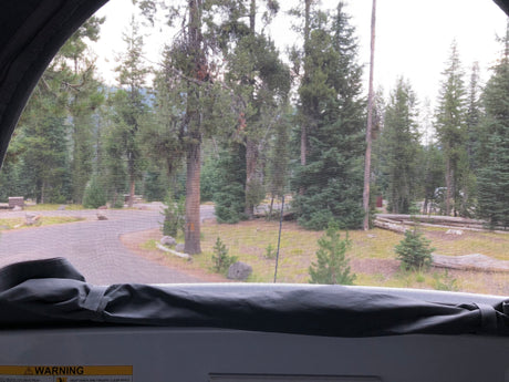 Serene view from an RV rental through a screen, revealing a forest, paved campground road, and green campsite grass.