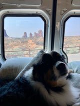 Dog enjoying the scenic desert landscape from an RV rental, with towering rock formations visible outside the window.