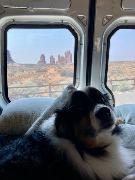Dog enjoying the scenic desert landscape from an RV rental, with towering rock formations visible outside the window.