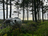 RV rental getaway: Silver Airstream trailer parked among tall trees and green bushes, with a distant ocean view.