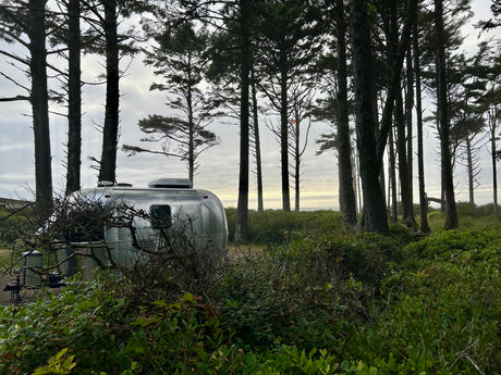 RV rental getaway: Silver Airstream trailer parked among tall trees and green bushes, with a distant ocean view.
