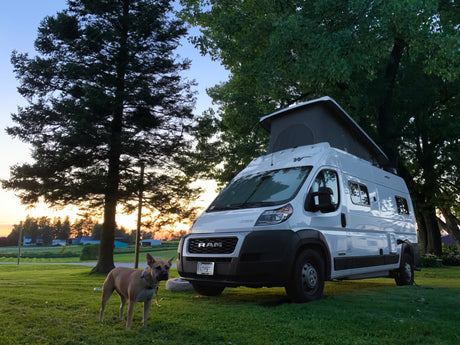 A white pop-top RV rental and a tan dog stand on green grass at sunset, surrounded by tall trees. Perfect for camping!