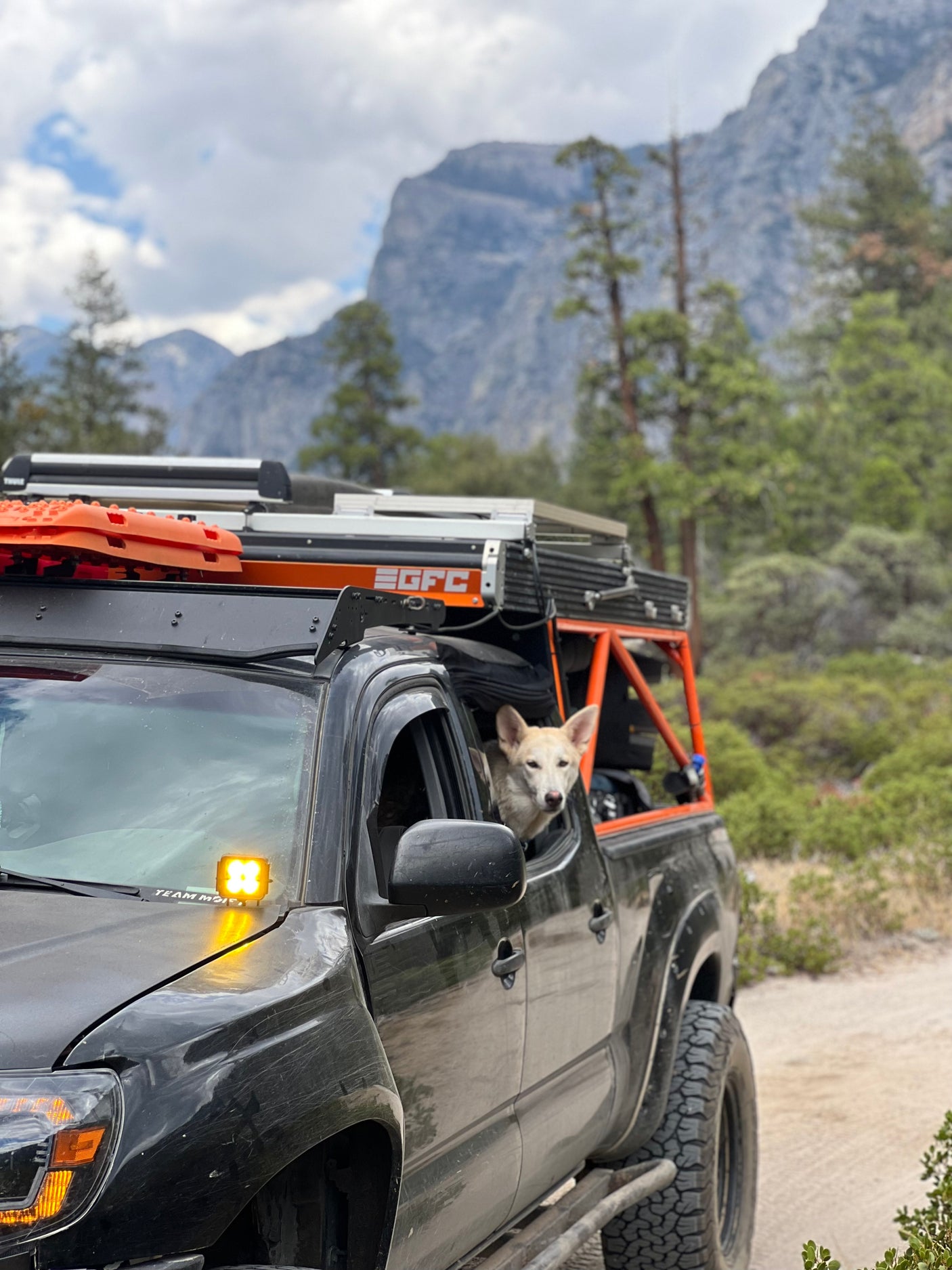 Dog in a customized overlanding truck (GFC camper) on a dirt road, amidst mountains. An ideal setup for an adventurous RV rental.