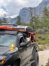 Dog in a customized overlanding truck (GFC camper) on a dirt road, amidst mountains. An ideal setup for an adventurous RV rental.