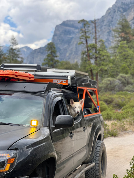 Dog in a customized overlanding truck (GFC camper) on a dirt road, amidst mountains. An ideal setup for an adventurous RV rental.