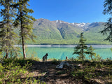 Dog admires a vibrant turquoise lake backed by majestic, snow-dusted mountains. Perfect scenery for an RV rental adventure!