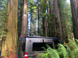 Gray Winnebago RV rental camper van parked amidst towering redwood trees & lush ferns. A serene forest camping scene.