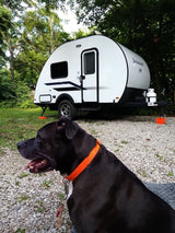 Black dog relaxing at a peaceful campsite with a white teardrop RV rental. Perfect for your next outdoor adventure!