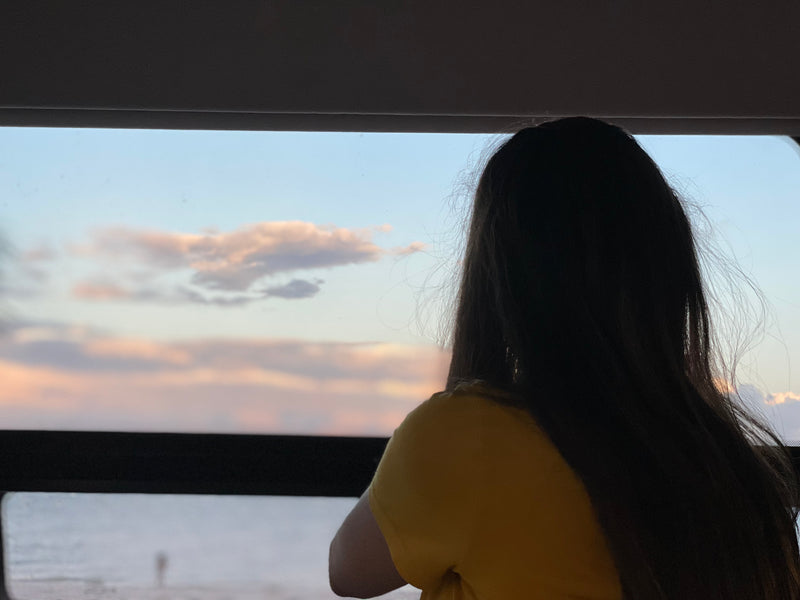 From an RV rental, a person with dark hair gazes at a stunning sunset over the beach and wide sky. — photo 8