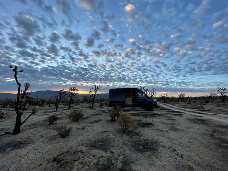 An RV rental parked in the desert at sunset, surrounded by Joshua trees under patterned clouds.
