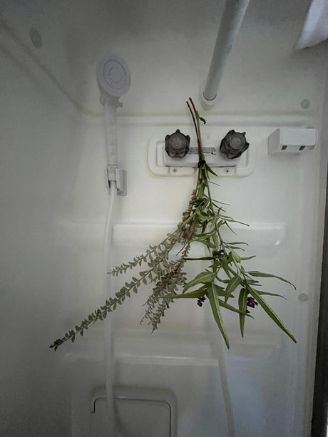 RV rental's compact shower with fresh herbs and purple flowers hanging, offering a natural and refreshing feel.