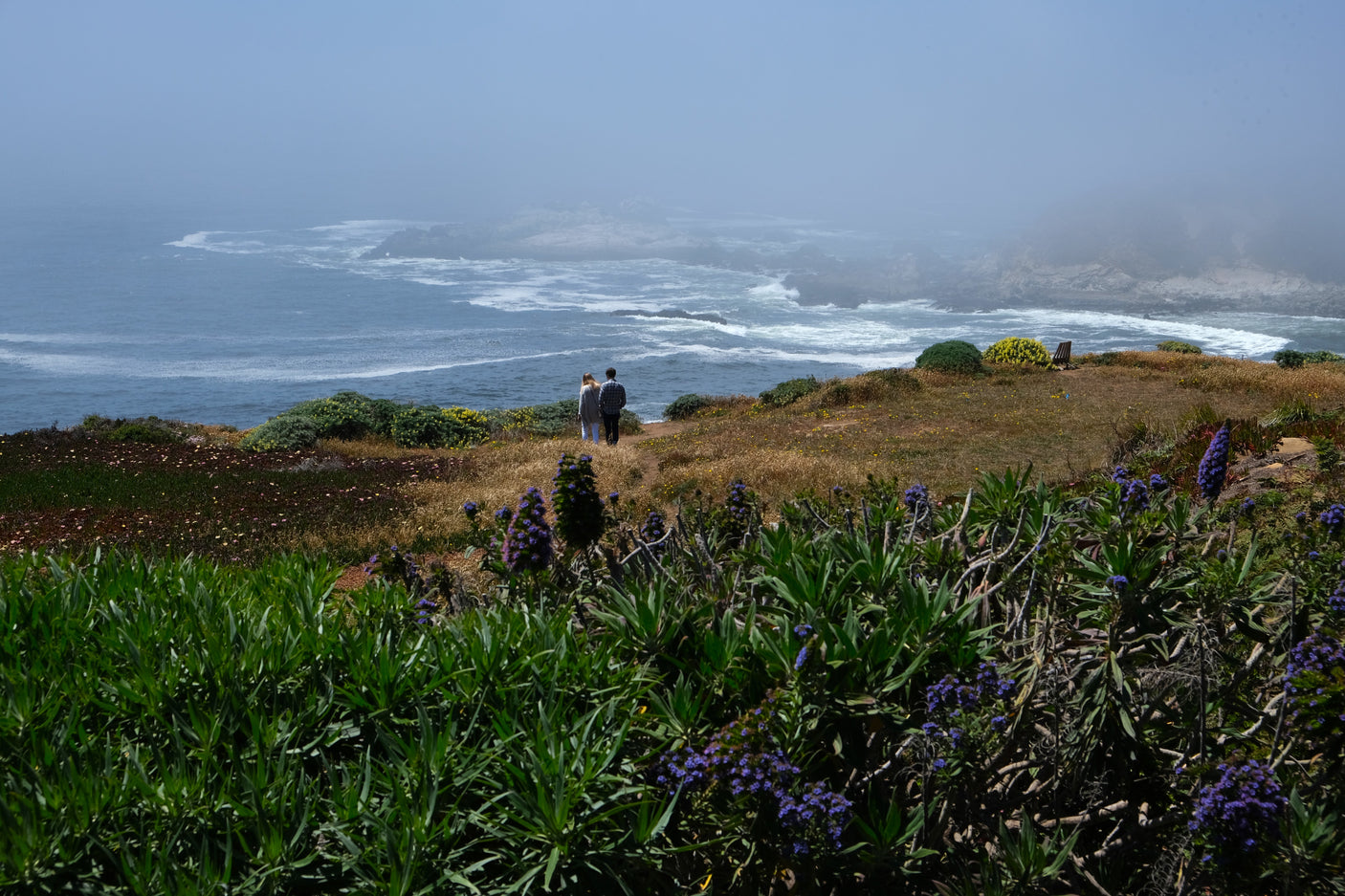 Coastal tranquility: a couple enjoys foggy ocean views from a cliffside with wildflowers. Ideal RV rental destination.