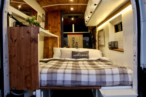 Vanna the 2019 Ford Custom Transit — photo 3