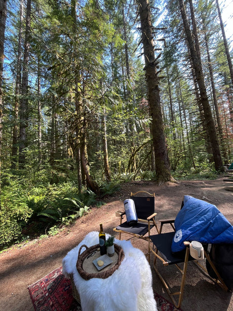Serene forest campsite with cozy setup, chairs, wine, and lush greenery. Ideal for an RV rental escape.