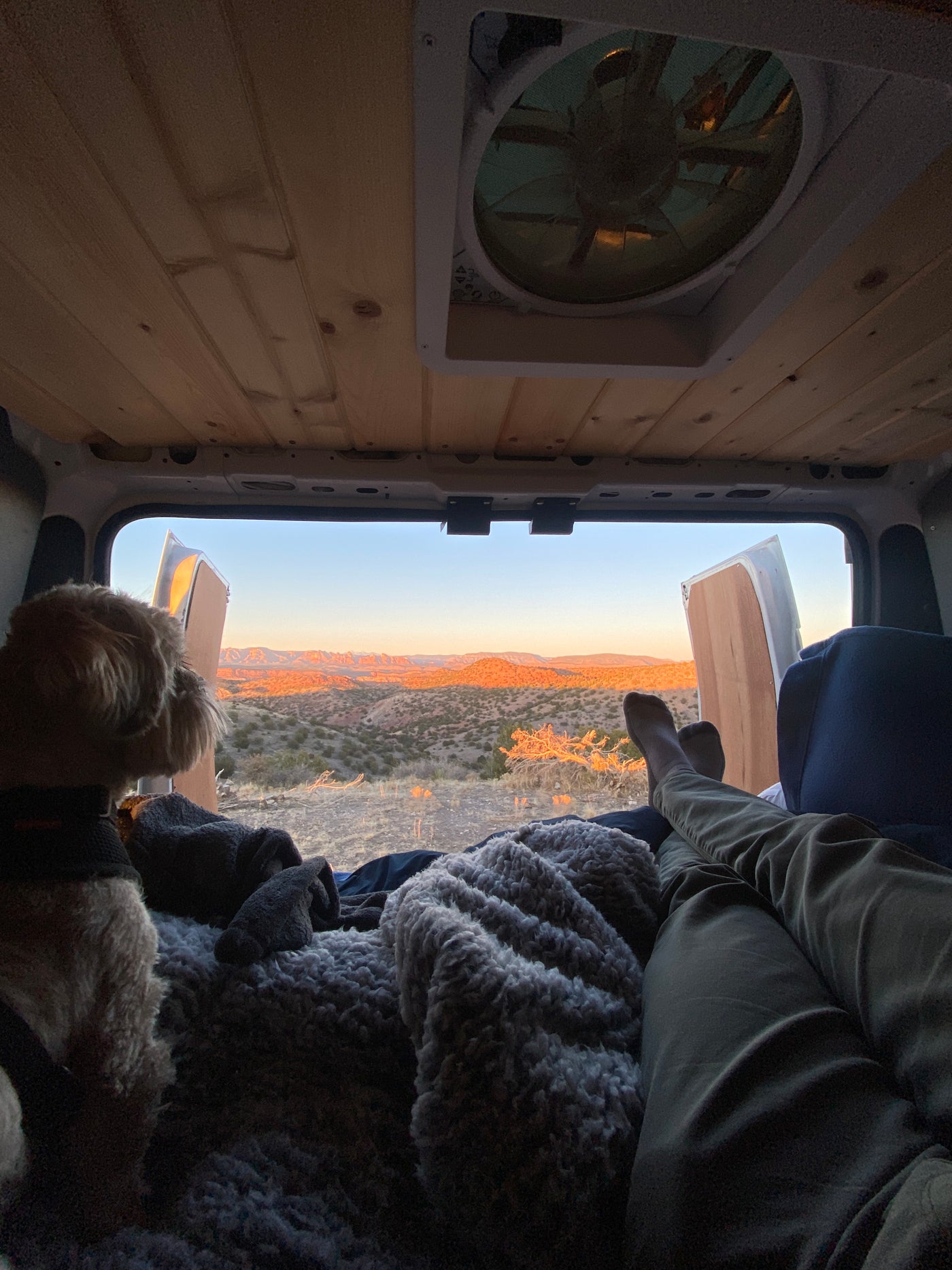 A dog and person relax inside a cozy RV rental, enjoying a stunning desert view at sunset. Perfect for pet-friendly van life. — photo 12