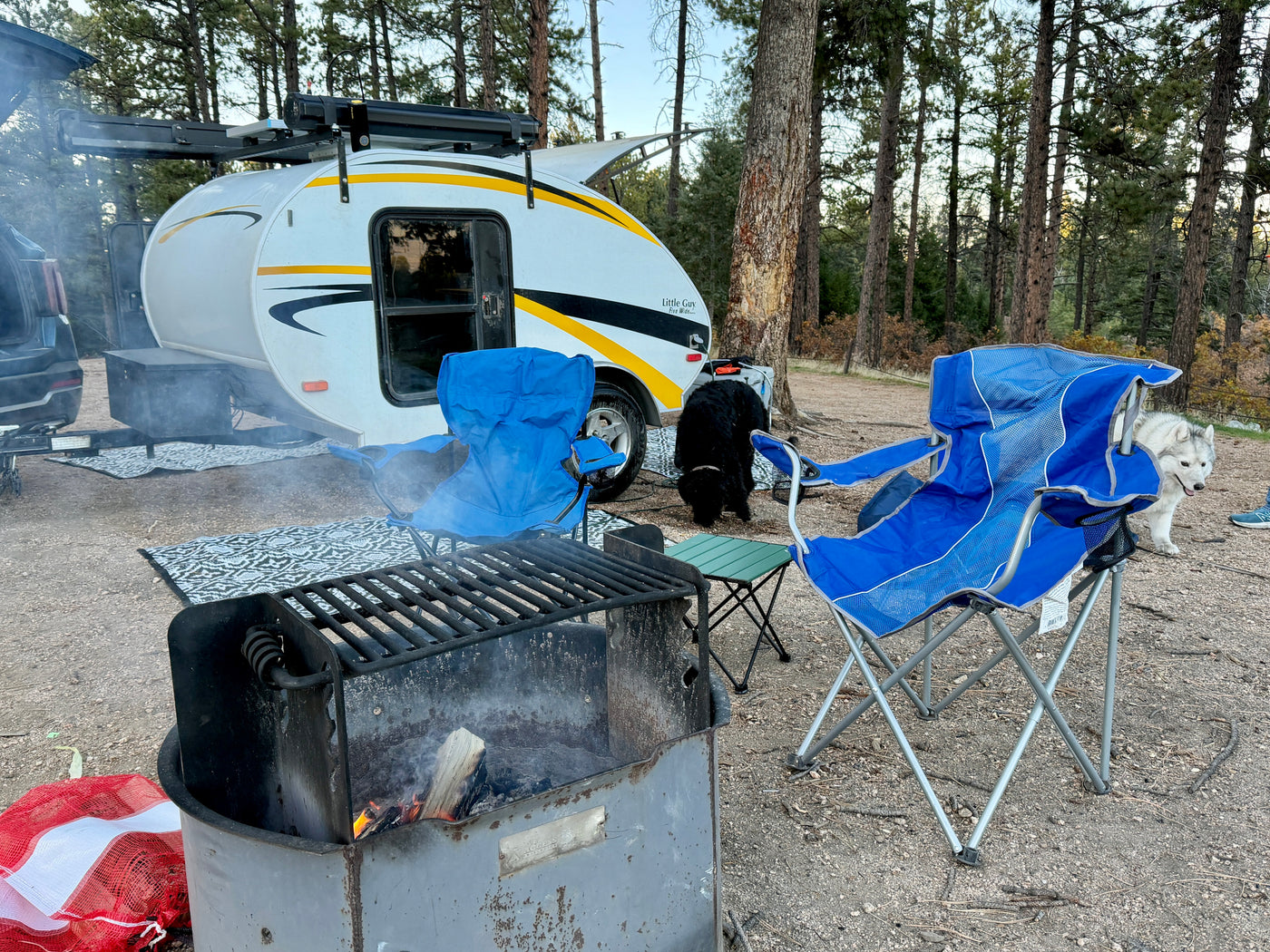 Enjoying a cozy campsite with an RV rental, two dogs, camping chairs, and a crackling campfire among the pine trees. — photo 5