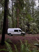 White RV rental van on a wet road through a stunning redwood forest, surrounded by ferns. Ideal for nature exploration.