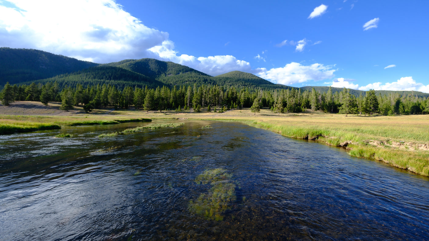 Explore serene river, forest, and mountain views via an RV rental. Perfect for your next outdoor adventure in nature.