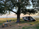 Relaxing under a big tree at a serene outdoor camp with an RV rental, lights, & a dog enjoying the vast fields.