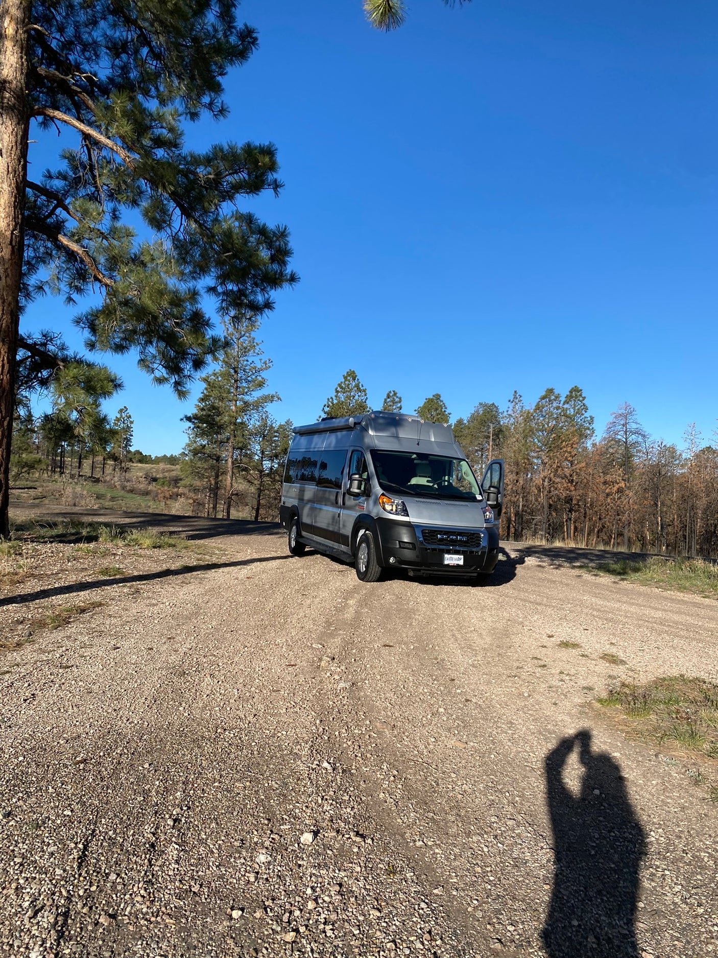 A grey rv rental campervan on a gravel road, surrounded by pine trees, some burnt, under a clear blue sky.