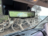 From an RV rental, a digital rearview mirror shows a coastal path with gnarled trees and ocean. Windshield view.
