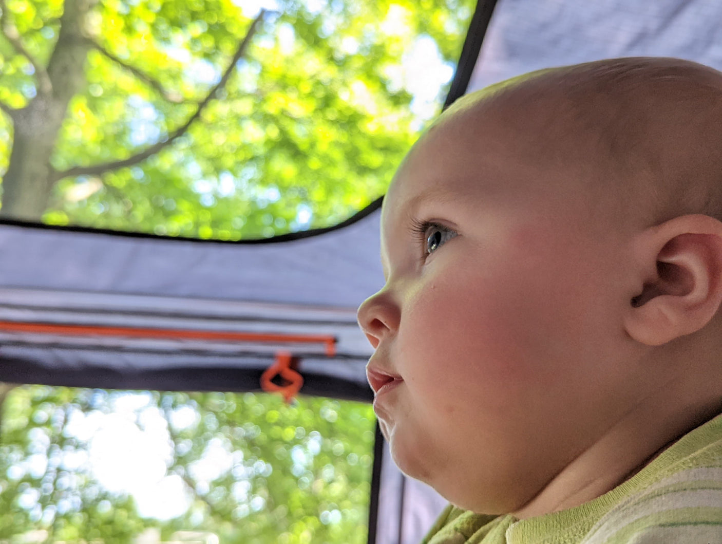 A cute baby looks out from an RV rental's interior, enjoying the bright, blurred green trees and sky beyond.