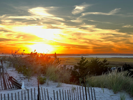 Stunning sunset lights up coastal dunes with a seagull, marsh, and distant views. Imagine an RV rental exploring this beauty.