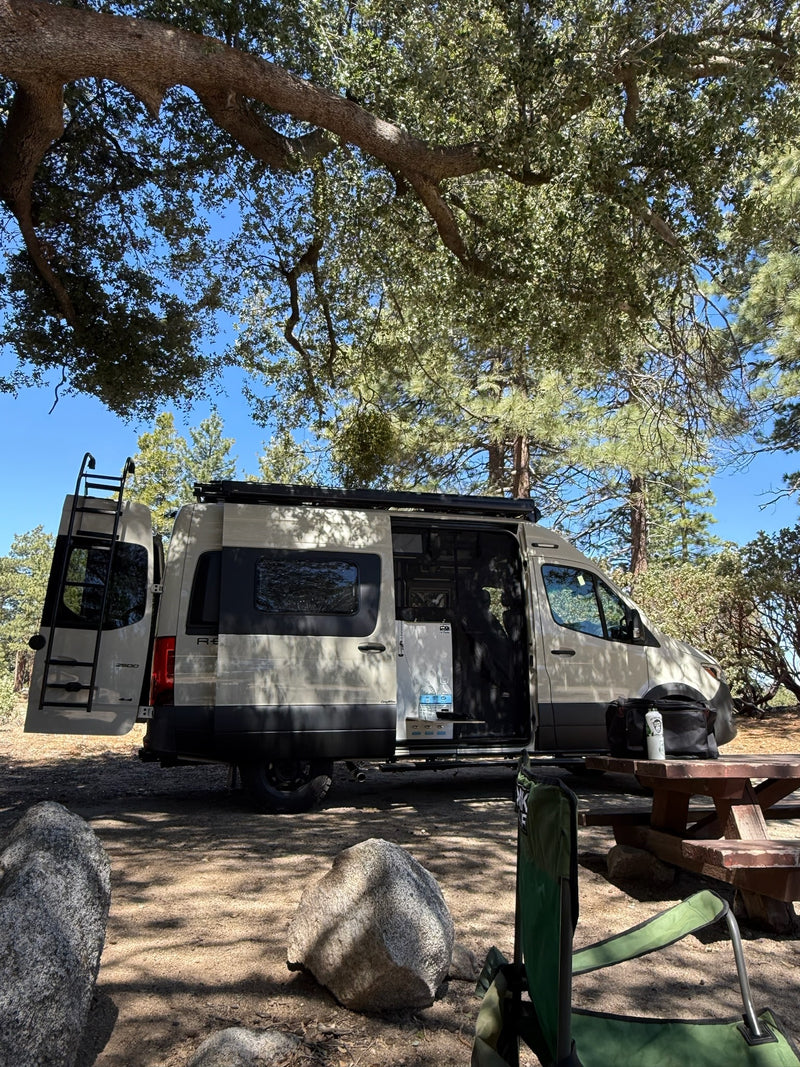  framed by pines — photo 1