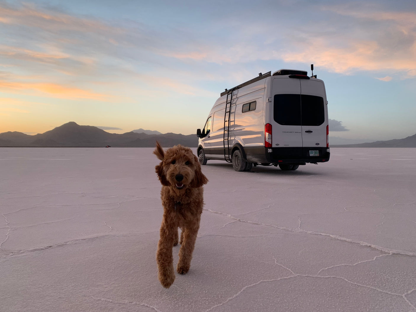 A playful brown dog runs on white salt flats, with a white RV rental camper van parked nearby under a vibrant sky.