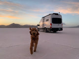 A playful brown dog runs on white salt flats, with a white RV rental camper van parked nearby under a vibrant sky.
