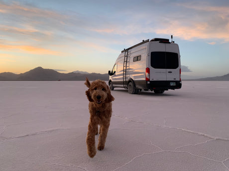 A playful brown dog runs on white salt flats, with a white RV rental camper van parked nearby under a vibrant sky.