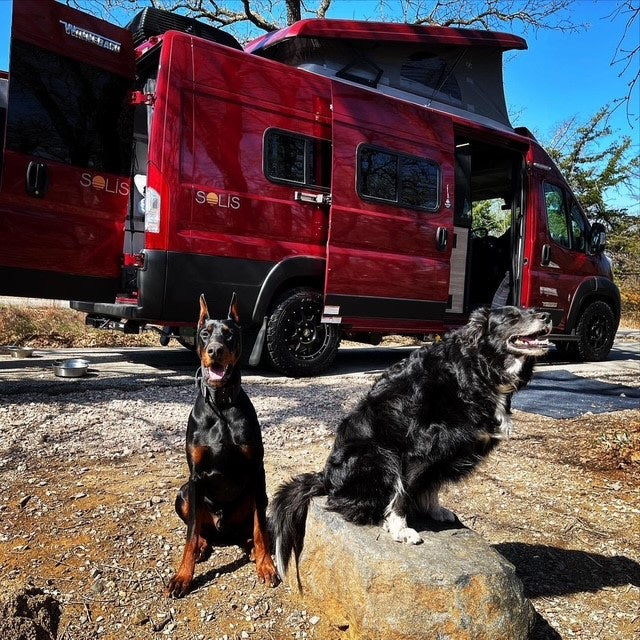 Doberman & fluffy black dog pose proudly by a red Winnebago Solis. An ideal rv rental for pet-friendly road trips! — photo 2