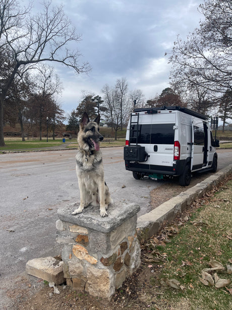 A happy dog sits on a stone pillar, posing next to a white RV rental camper van in a scenic park, ready for pet adventures.