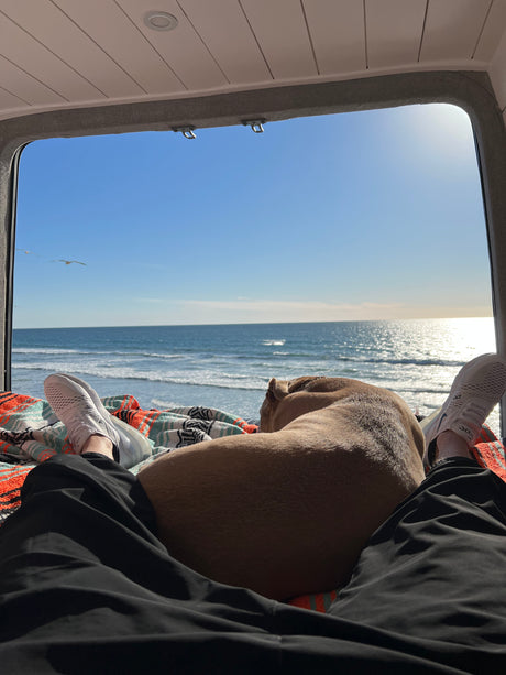 2021 Mercedes-Benz Sprinter