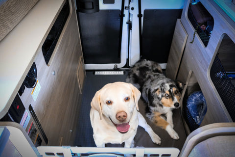 Winnebago Solis Pocket Van: Average 18mpg — photo 3