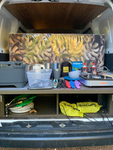Organized rv rental camping setup: portable stove, kitchenware, and dive gear neatly stored in the back of a van.